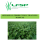 Soya bean training manual now available for Zimbabwe's farmers