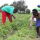 Youthful  farmer reaps  benefits from taking farming as a business