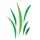 Video: Easy steps on HOW to setup, plant and manage a Pfumvudza plot.